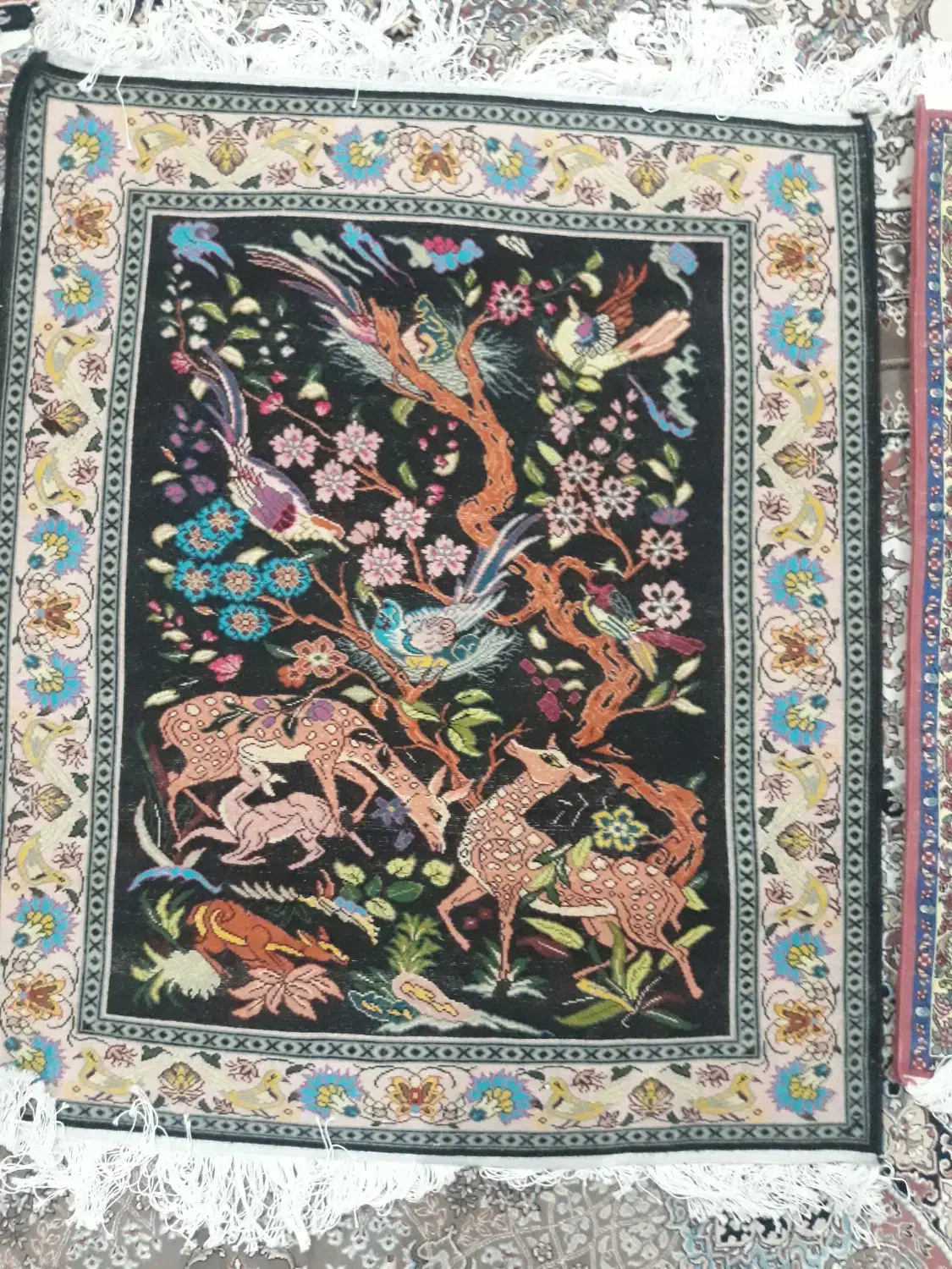 فرش دستباف|فرش|سنندج, |دیوار