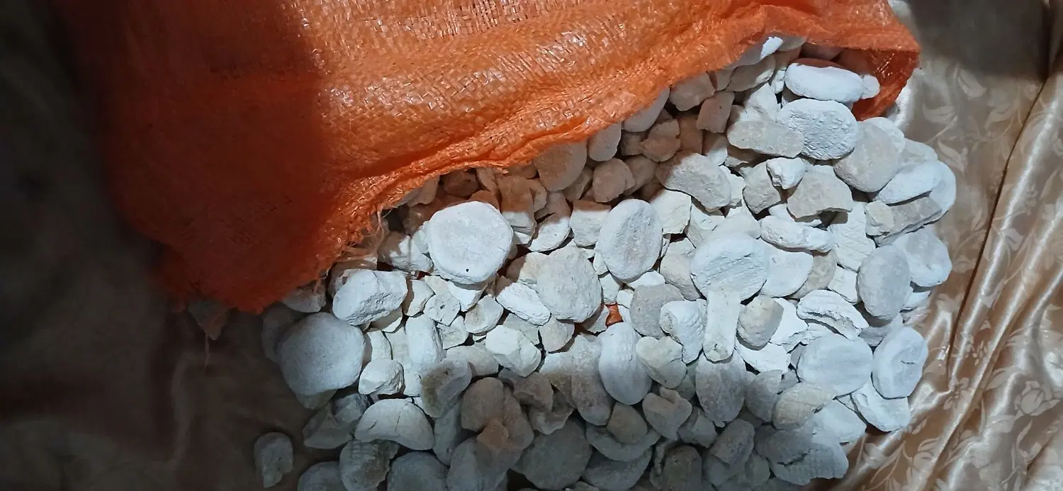 کشک|خوردنی و آشامیدنی|زاغه, |دیوار