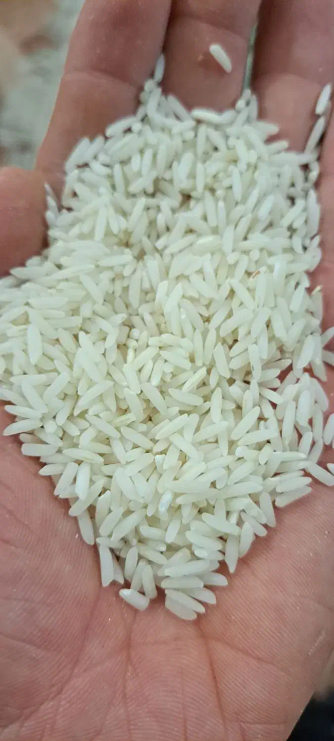 برنج هاشمی درجه یک گیلان|خوردنی و آشامیدنی|اشتهارد, |دیوار