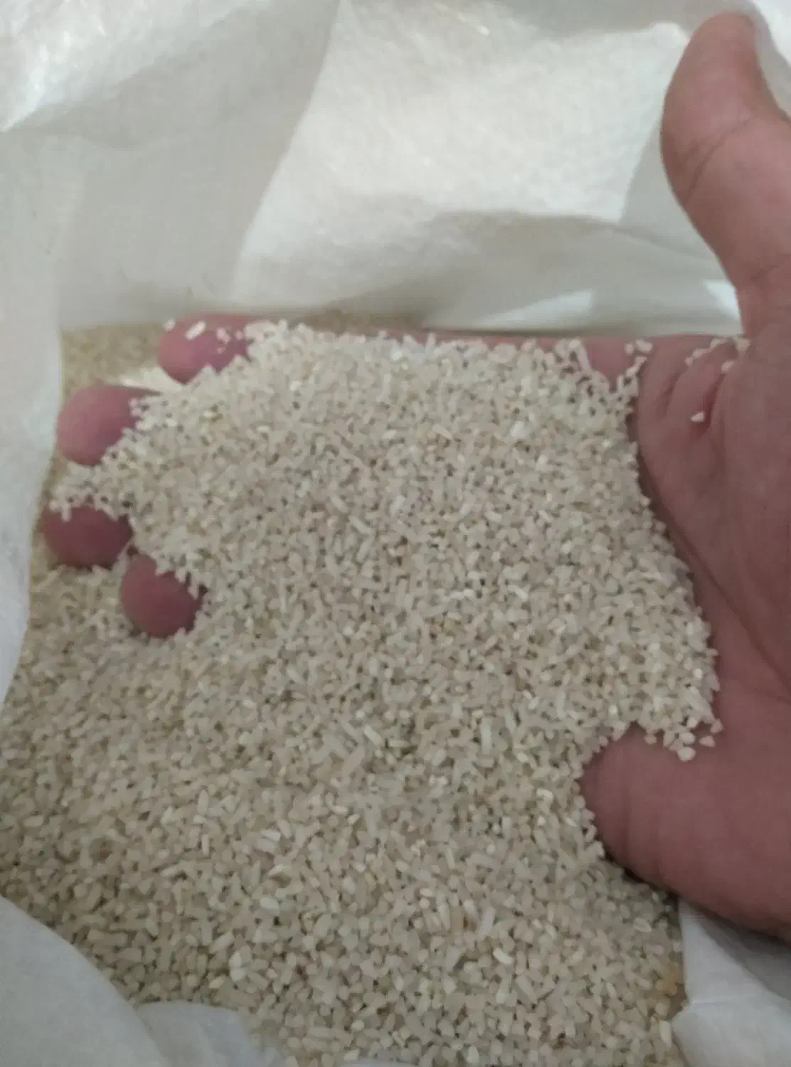 برنج هاشمی|خوردنی و آشامیدنی|هشتگرد, شهرک ولیعصر (مصلی)|دیوار