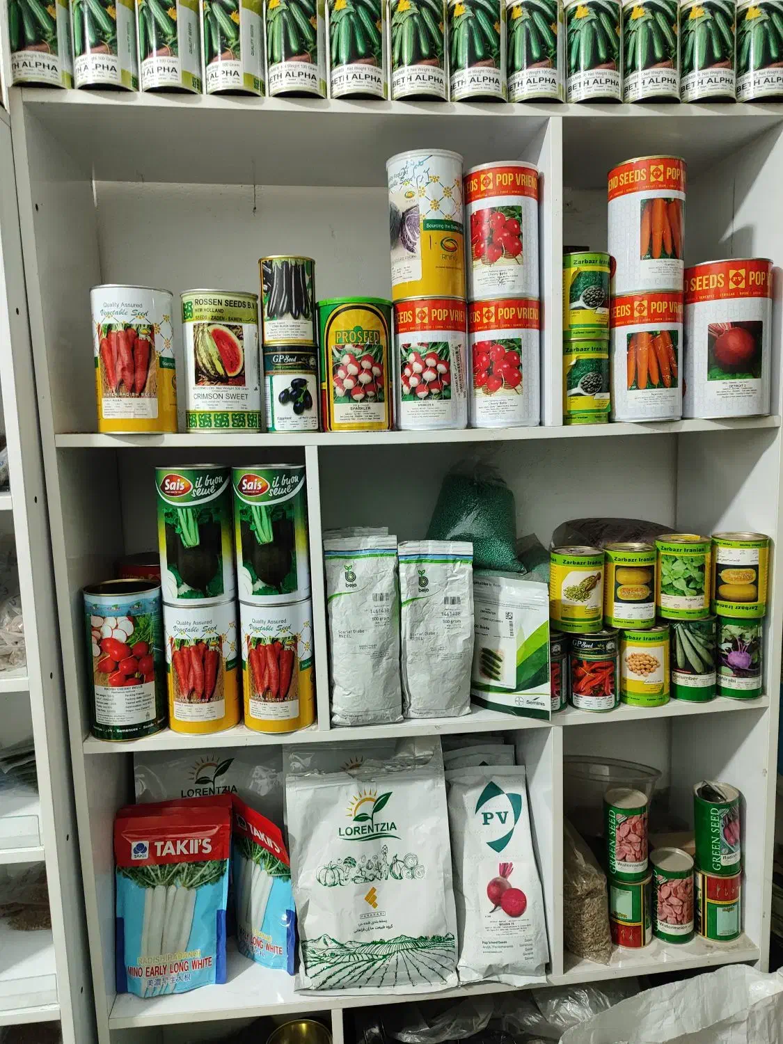 فروش تخصصی انواع بذر سبزیجات و صیفیجات و گل|گل و گیاه طبیعی|بابل, |دیوار