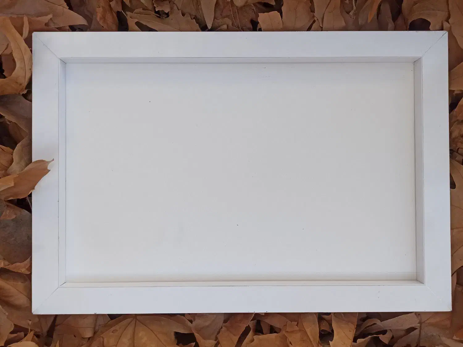 قاب سفید|تابلو، نقاشی، عکس|محلات, |دیوار