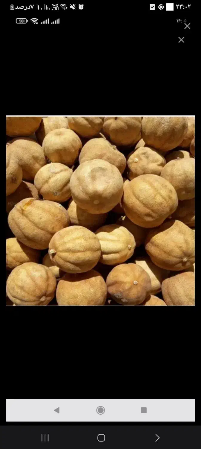 لیمو عمانی ایرانی|حراج|اندیشه, اندیشه فاز ۲|دیوار