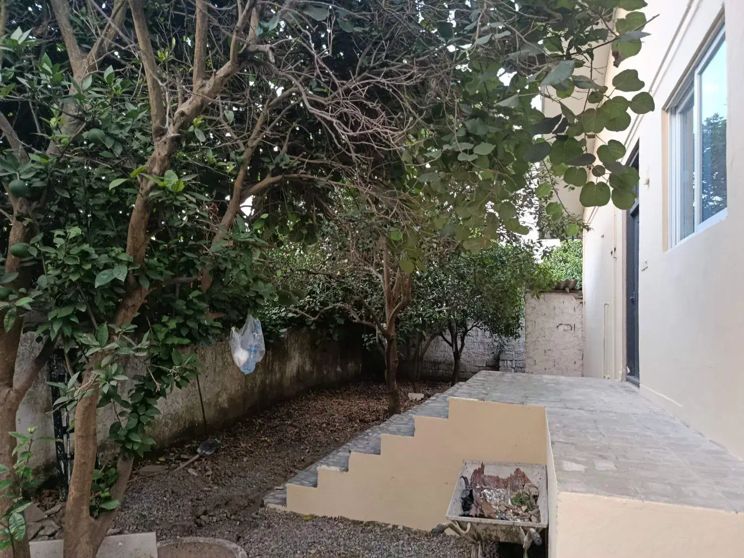 فروش خونه باغ|فروش خانه و ویلا|هادی شهر, |دیوار