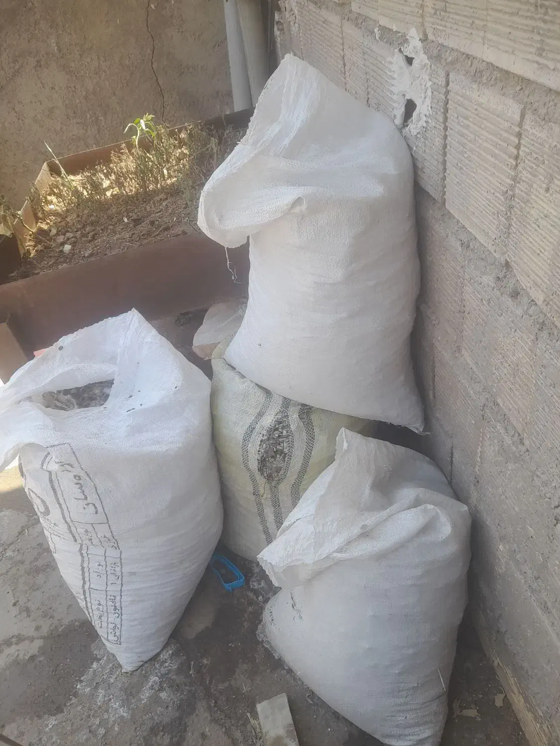 کود کبوتر|خدمات باغبانی و درختکاری|ساوه, |دیوار