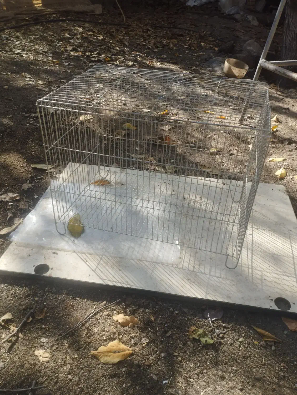 قفس|لوازم جانبی حیوانات|اردبیل, |دیوار