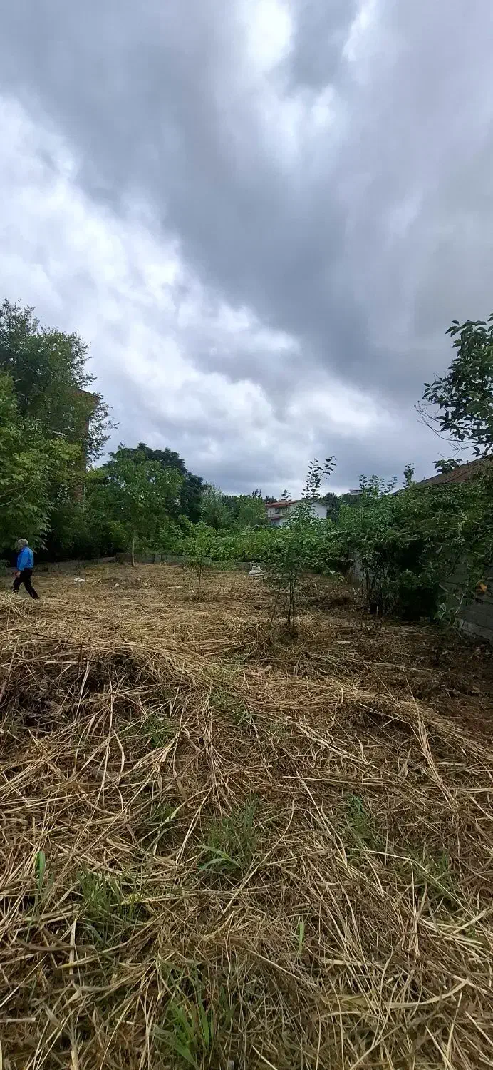 فروش و معاوضه زمین تنکابن خرم آباد|فروش زمین و ملک کلنگی|خرمآباد (تنکابن), |دیوار