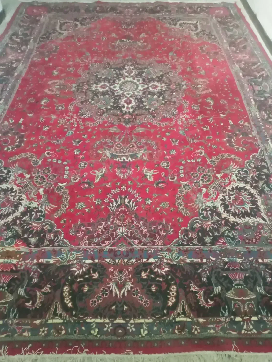 فرش ۱۲ متری لاکی|فرش|بروجرد, |دیوار