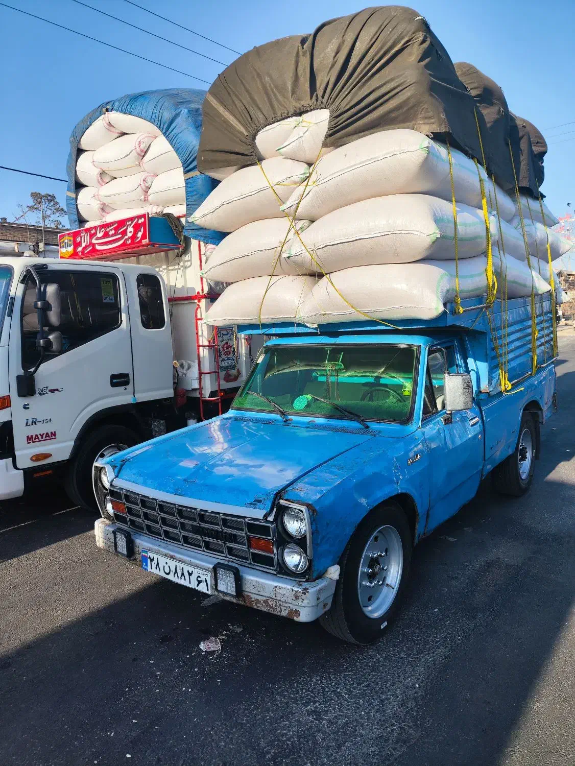 کاه خریدار کاه|خدمات باغبانی و درختکاری|دهگلان, |دیوار