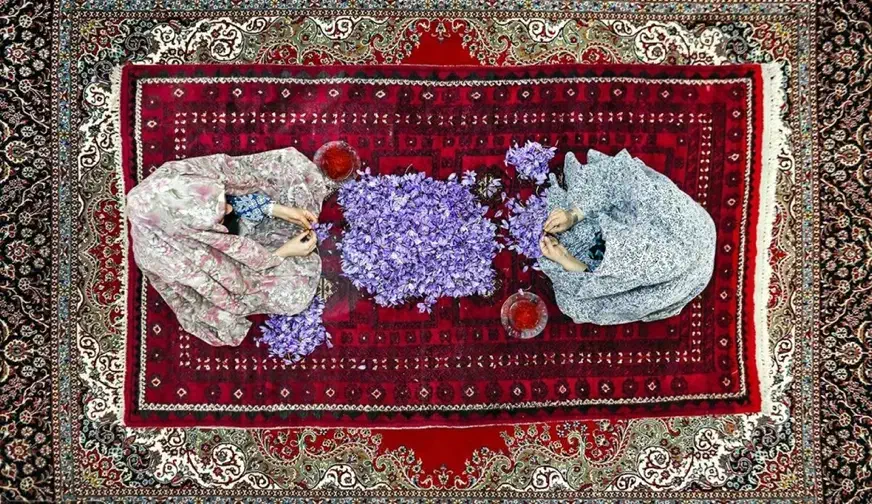 دستگاه تمام‌اتوماتیک جداسازی گل زعفران در ایران|ماشین‌آلات صنعتی|تربت‌حیدریه, اندیشه|دیوار