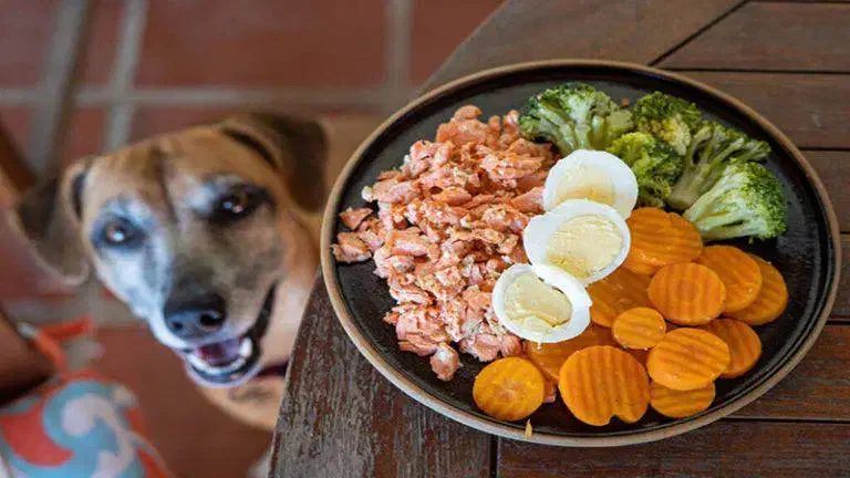 کارگر ساده در شهرک صنعتی عباس اباد|استخدام صنعتی، فنی، مهندسی|شریفآباد, |دیوار