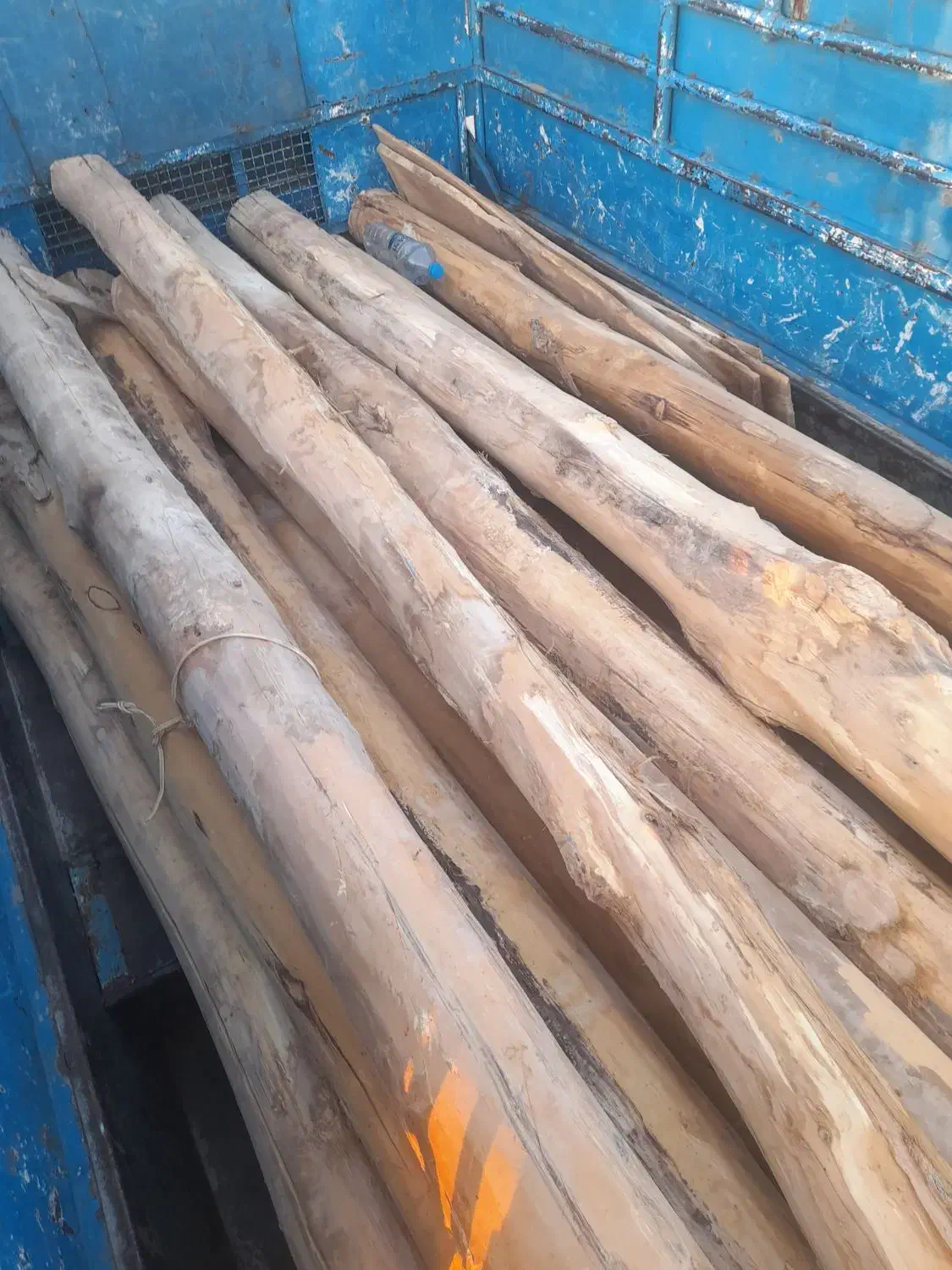 خریدار چوب کار و زغالی|خدمات باغبانی و درختکاری|سمیرم, |دیوار