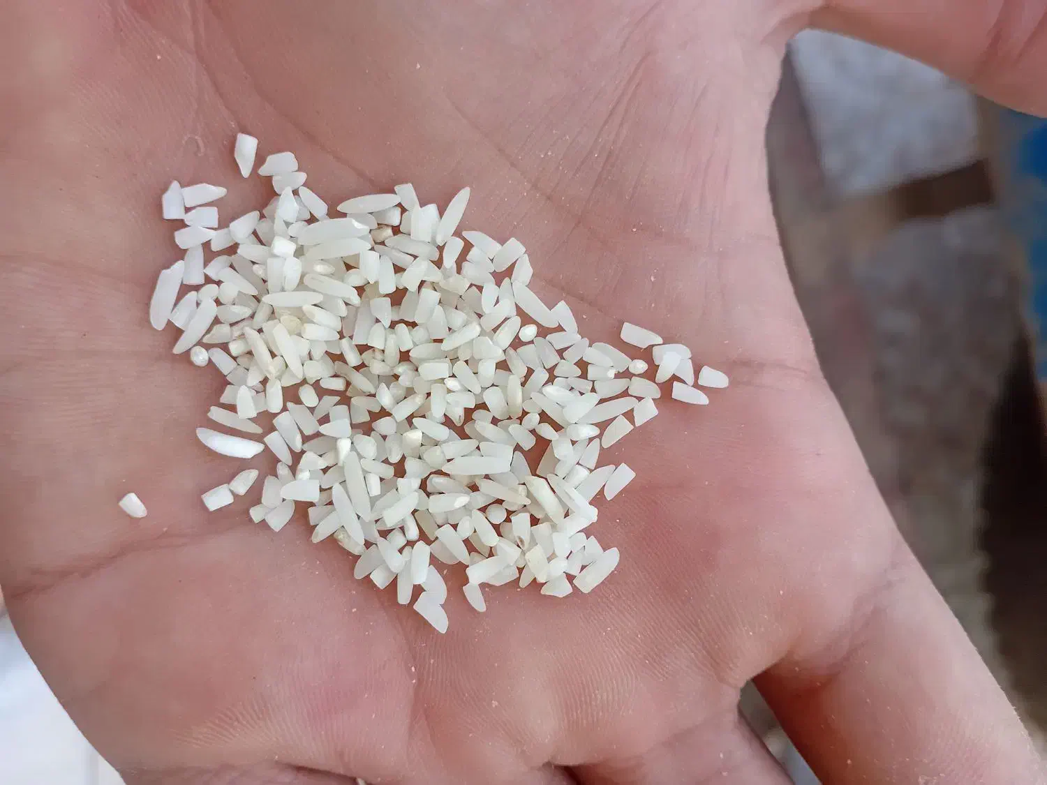 نیم دونه در حد سرلاشه|خوردنی و آشامیدنی|محمودآباد, |دیوار