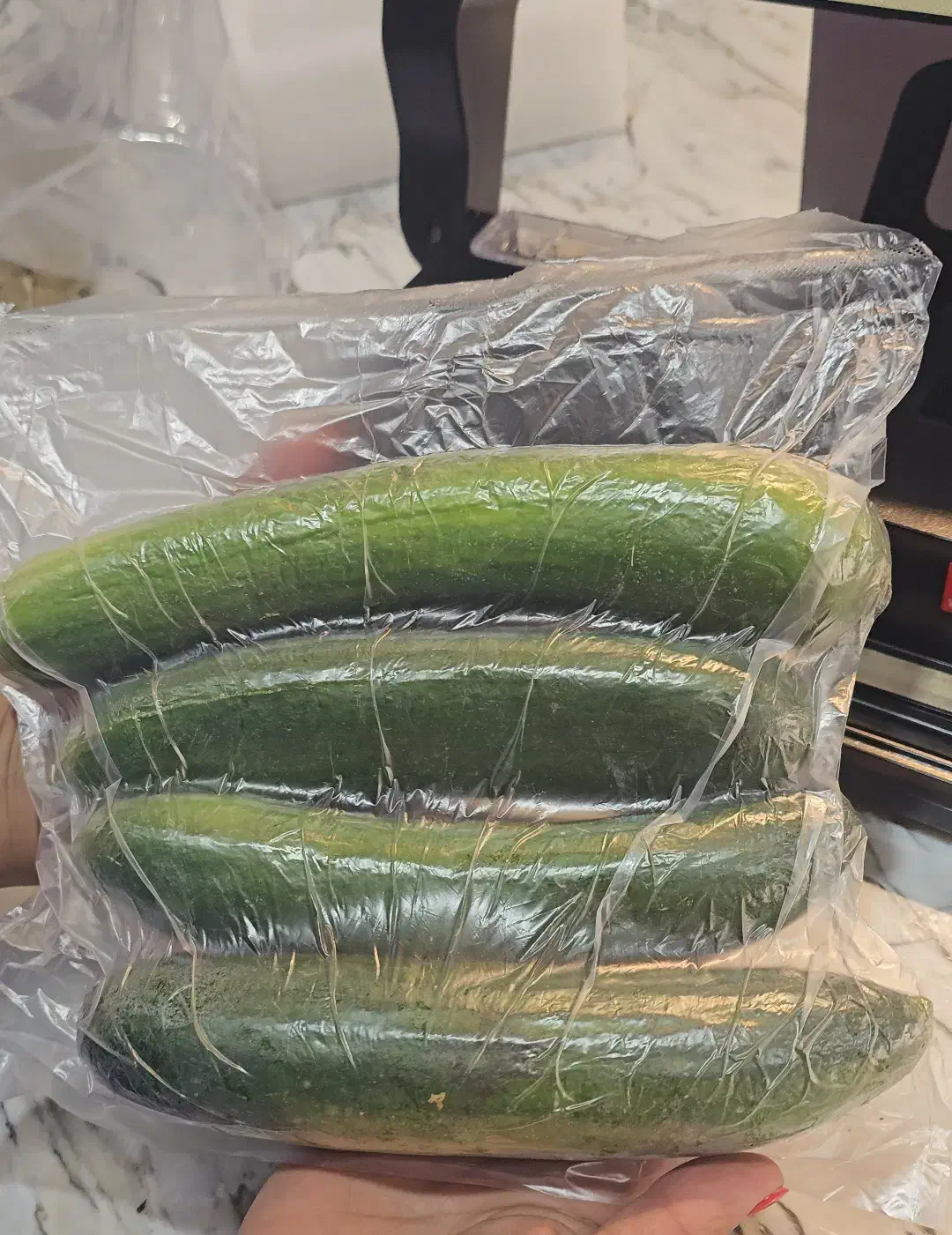 آخرین مدل وکیوم موگه P290B با تخفیف ویژه|کافیشاپ و رستوران|شیراز, چوگیاه|دیوار