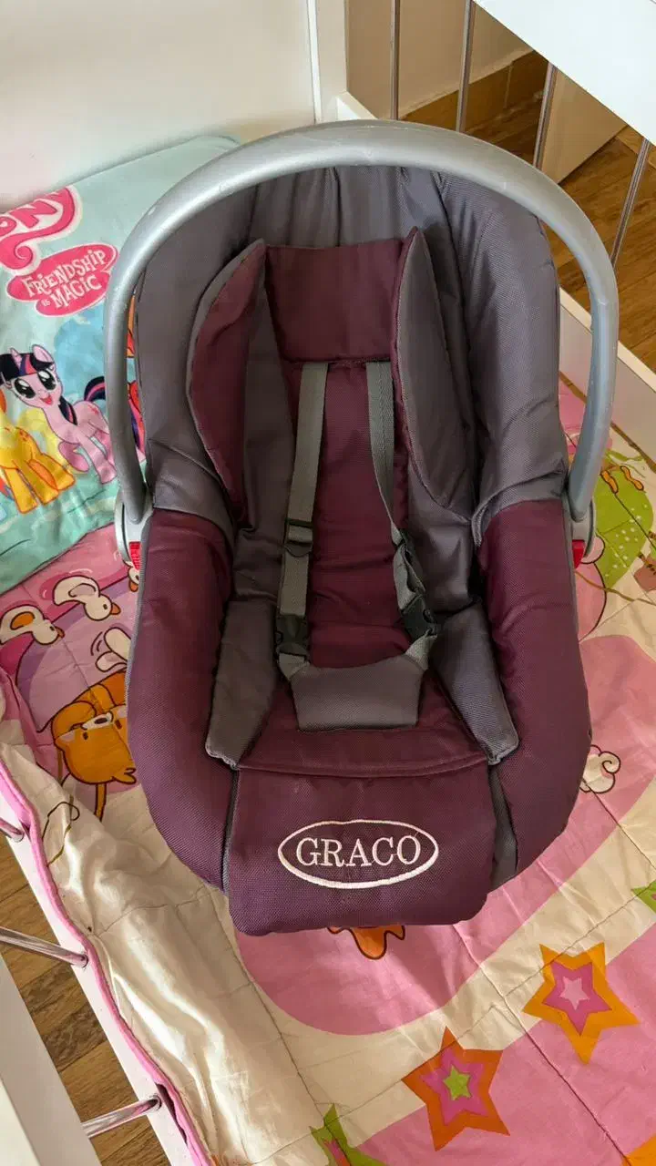 کالسکه و کریر|کالسکه و لوازم جانبی|صومعهسرا, |دیوار