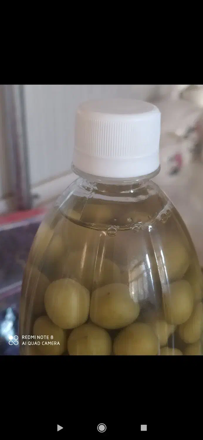 گوجه سبز|خوردنی و آشامیدنی|شاهین دژ, |دیوار