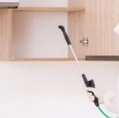 سم پاشی موریانه سوسک ساس سم پاشی موش|خدمات نظافت|اصفهان, شاهزید|دیوار