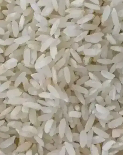 برنج چمپا دون دونی کره کیلیوی ۲۹۰|خوردنی و آشامیدنی|یاسوج, |دیوار