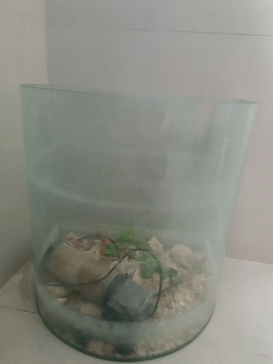 آکواریوم|ماهی|مشهد, کشف|دیوار