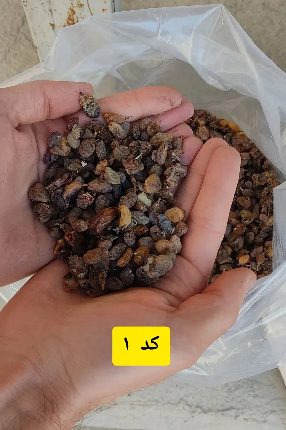 پخش کشمش|خوردنی و آشامیدنی|تبریز, |دیوار