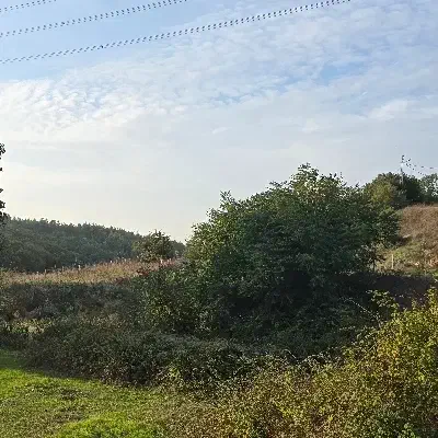 همراه بیمار برای بیمارستان|استخدام درمانی، زیبایی، بهداشتی|تهران, نصرت|دیوار