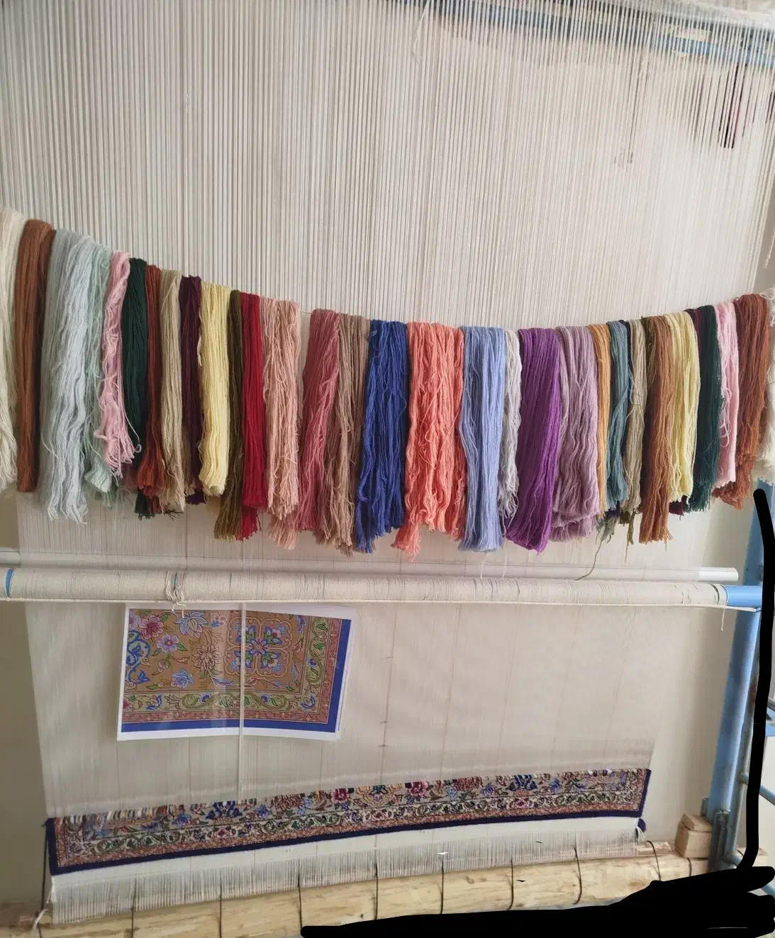 قالی دستباف|فرش|اصفهان, سرشبادران|دیوار