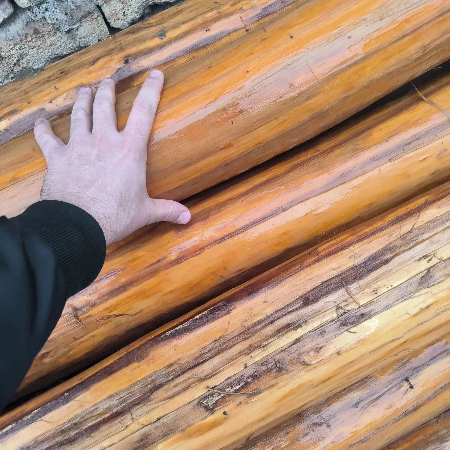 سنوبر درجه یک|مصالح و تجهیزات ساختمان|چهاربرج, |دیوار