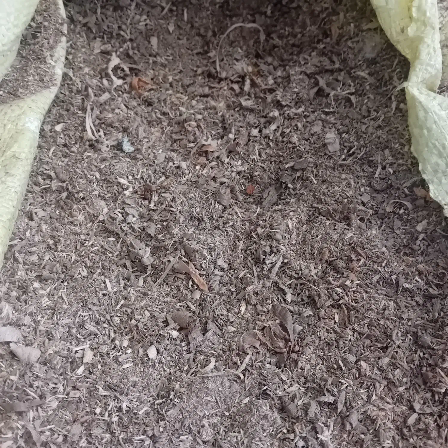 خاک اره چوب|لوازم جانبی حیوانات|جیرفت, |دیوار