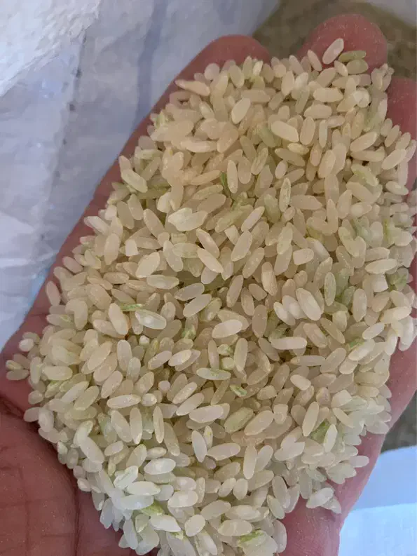 برنج کامفیروزی چمپا|خوردنی و آشامیدنی|کازرون, |دیوار