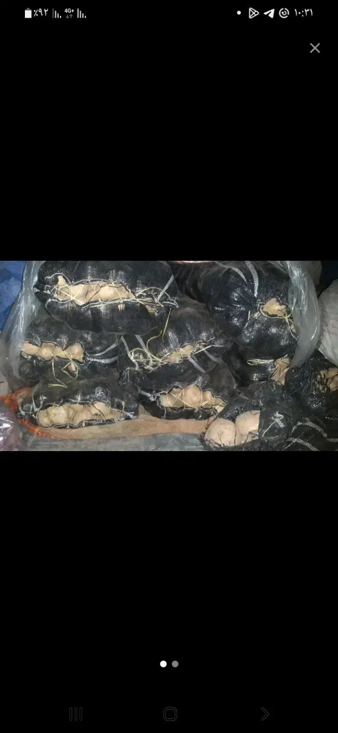 سیب زمینی مرغوب ۷گونی فروشی|خوردنی و آشامیدنی|شاهین دژ, |دیوار