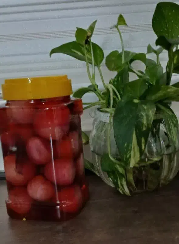 ترش و شیطون|خوردنی و آشامیدنی|تهران, دولاب|دیوار