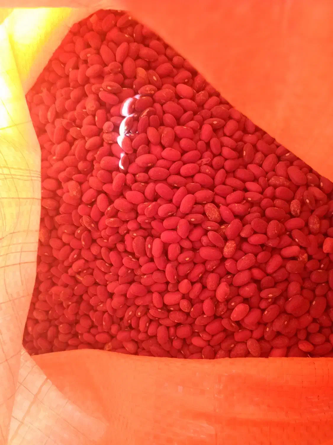 حبوبات|خوردنی و آشامیدنی|چنگ الماسی, |دیوار