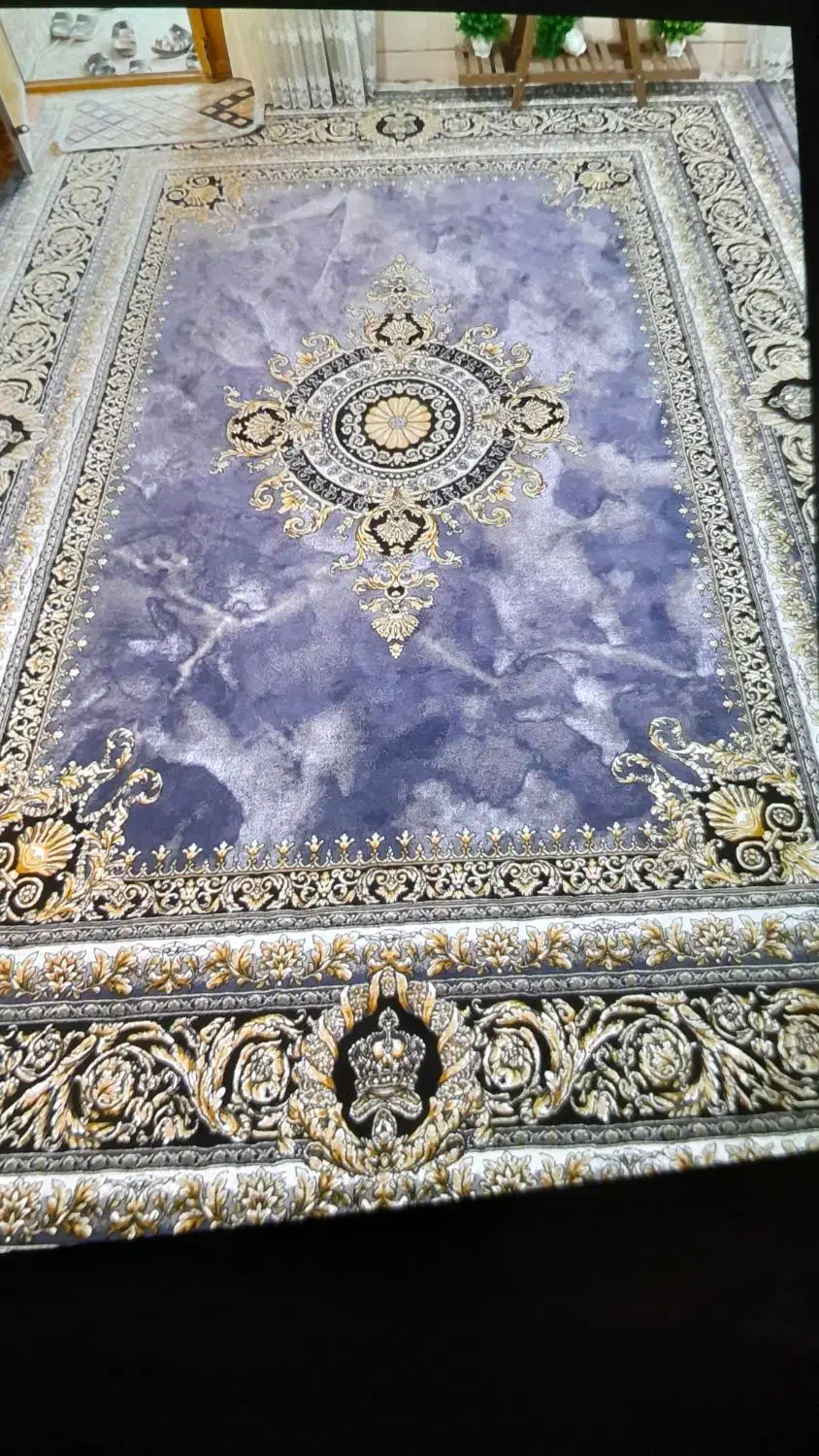 قالی ۱۲ متری کاشان|فرش|بندر کنگان, |دیوار