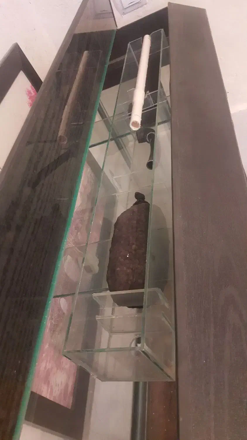 آکواریم با میز ام دی اف نوع|ماهی|شیراز, بالا کفت|دیوار