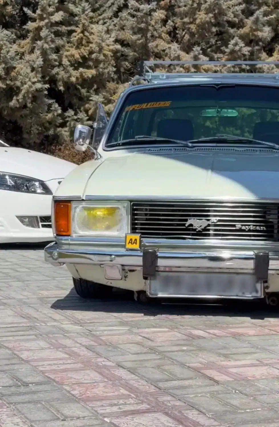 پیکان مدل 81|خودرو سواری و وانت|ملایر, |دیوار