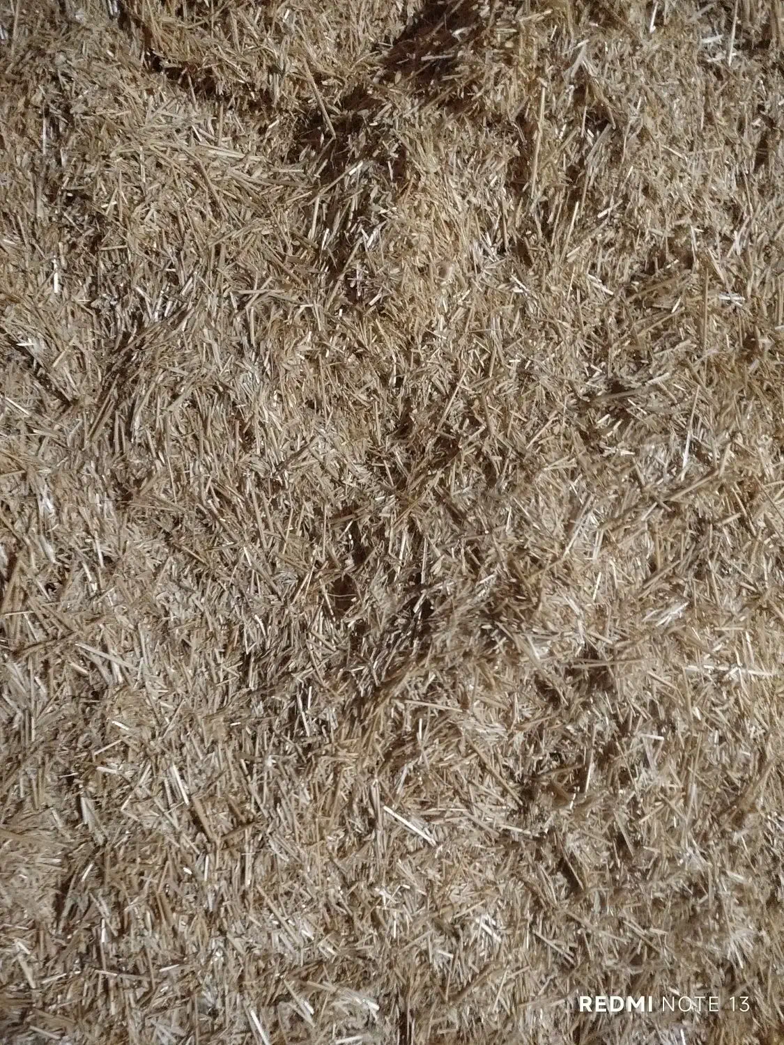 کاه دیم|لوازم جانبی حیوانات|خنجین, |دیوار