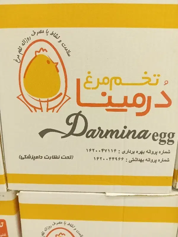 کارتن تخم مرغ سالم|ابزارآلات|همدان, |دیوار