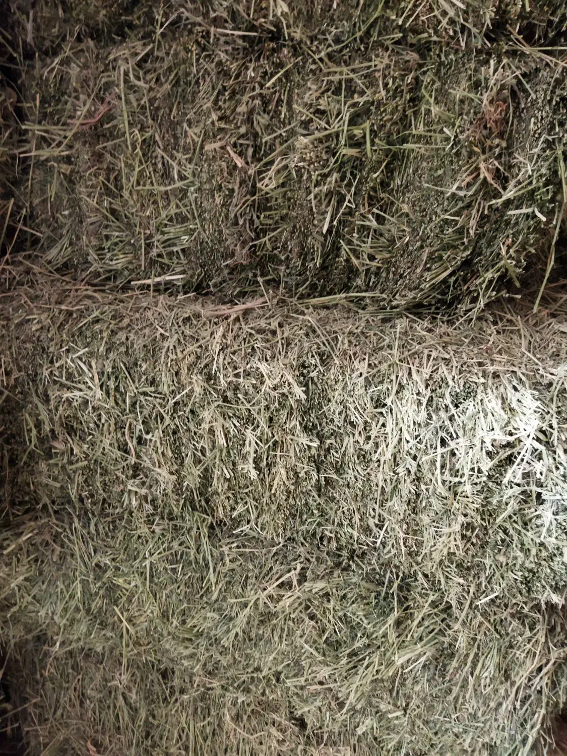 ینجه|حیوانات مزرعه|خزل, |دیوار