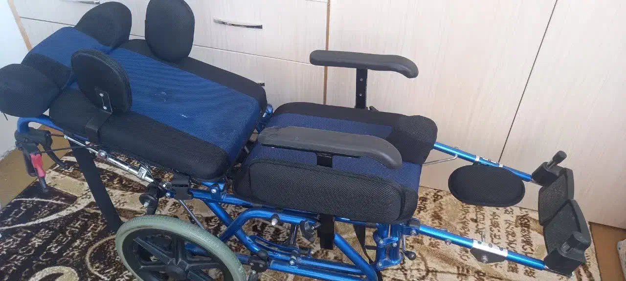 ویلچر سی پی|کالسکه و لوازم جانبی|سیرجان, |دیوار