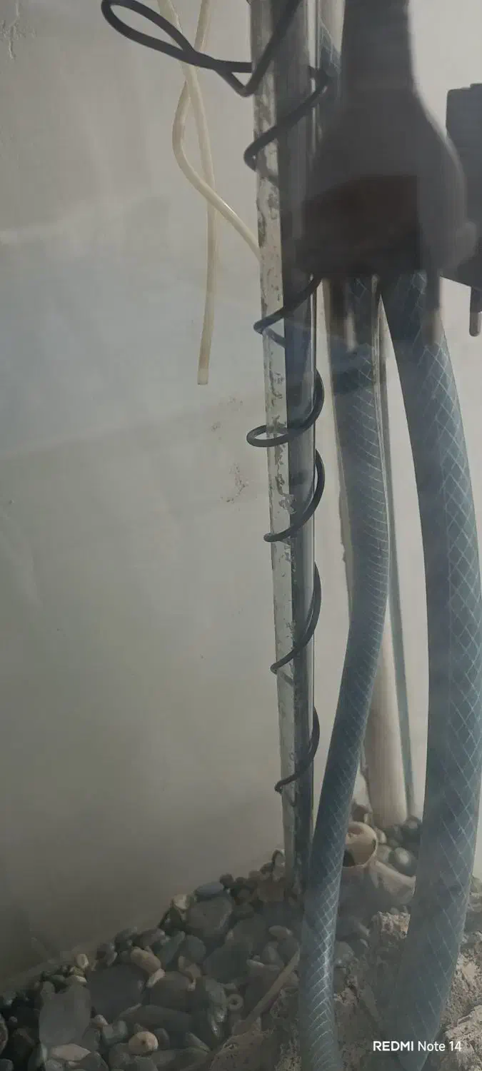 اکواریوم ماهیران شیشه خم|ماهی|اصفهان, کوی شهید کشوری|دیوار