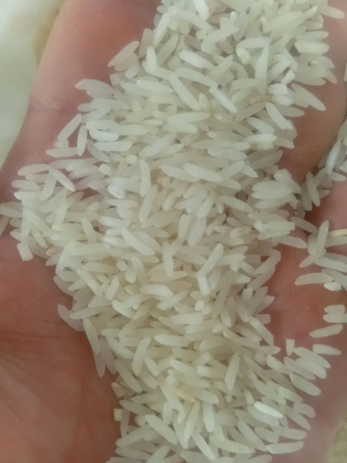 ۱۴۰ کیلو برنج فجر ۹۰ روزه|خوردنی و آشامیدنی|گرگان, |دیوار