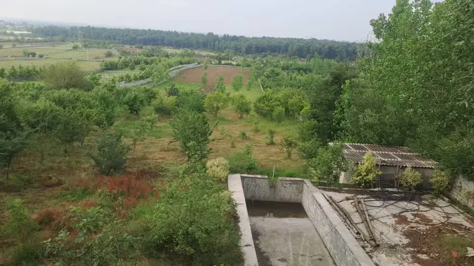 پلاک یک جنگل قطعه بندی شده سندششدانگ اقساط یک ساله|فروش زمین و ملک کلنگی|امامزاده عبدالله, |دیوار