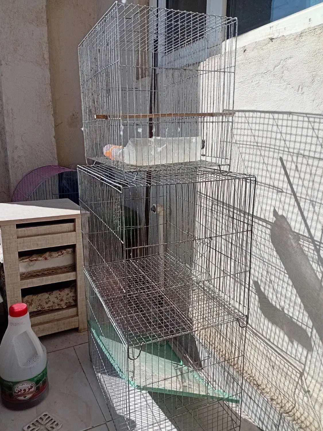 قفس پرنده|لوازم جانبی حیوانات|پاکدشت, شهرک امام رضا|دیوار