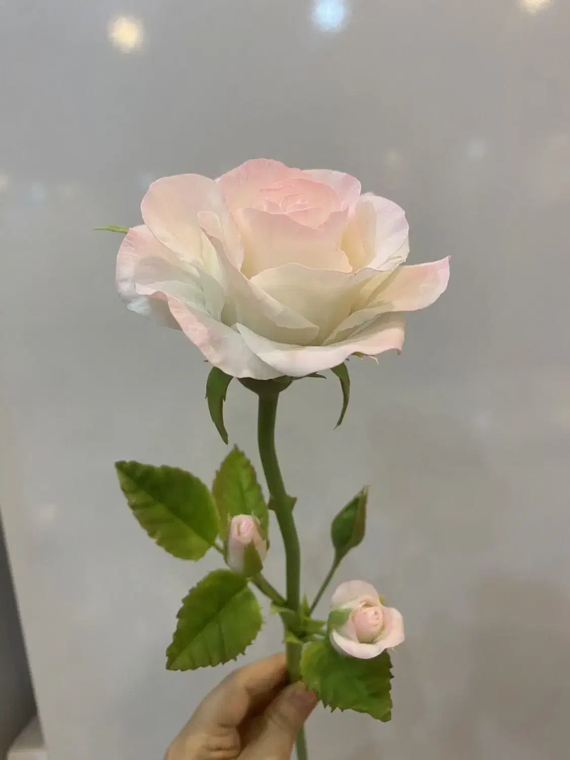 رز های بزرگ هلندی|صنایع دستی و سایر لوازم تزئینی|تهران, قناتکوثر|دیوار