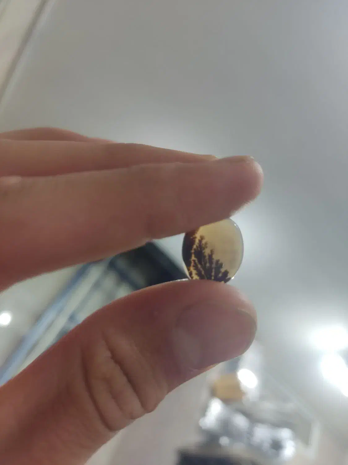 دو عدد سنگ انگشتر شجر|جواهرات|خمینی‌شهر, |دیوار