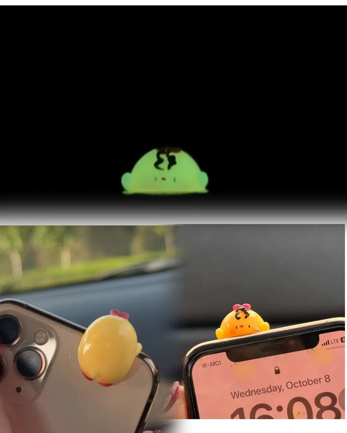 گوگولی های شبتاب|زیورآلات و اکسسوری|بندر دیر, |دیوار