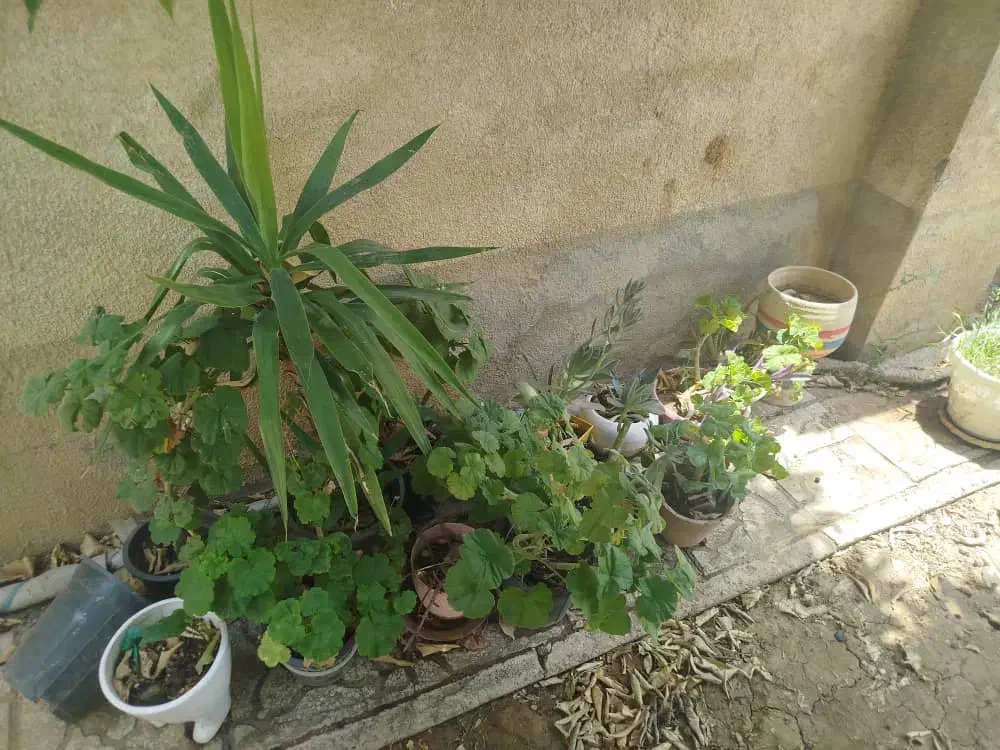 ب یک خانم جهت سر پرستی خوابگاه نیازمندیم|استخدام اداری و مدیریت|شیراز, سینما سعدی|دیوار