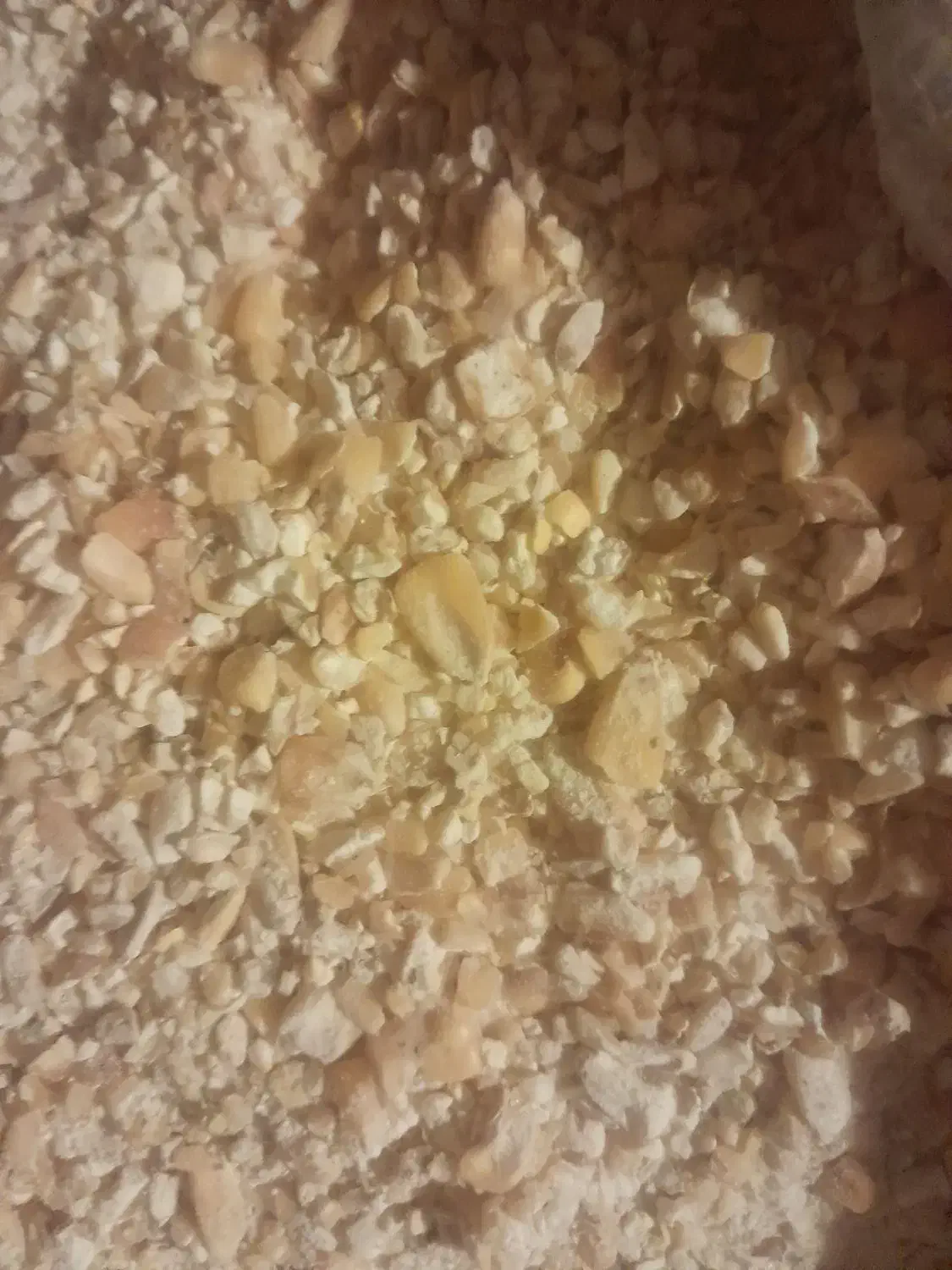 گل یونجه وذرت اسیاب شده|خدمات باغبانی و درختکاری|نهاوند, |دیوار