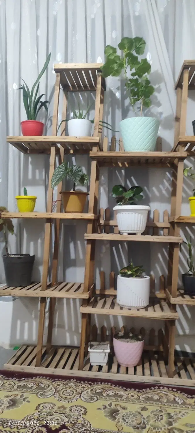 استندگل|کتابخانه، شلف، قفسههای دیواری|تبریز, |دیوار