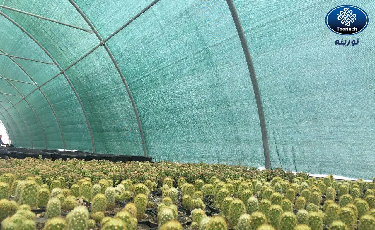 سایبان رشت شید گلخانه با تراکم بالا دوردوزی و قلاب|عمده‌فروشی|رشت, بازار|دیوار